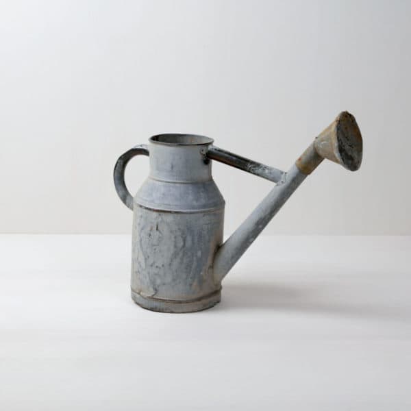 Rent, vintage watering can, fancy decoration