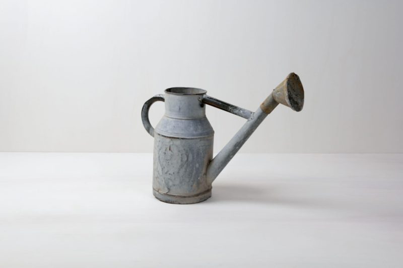 Rent, vintage watering can, fancy decoration