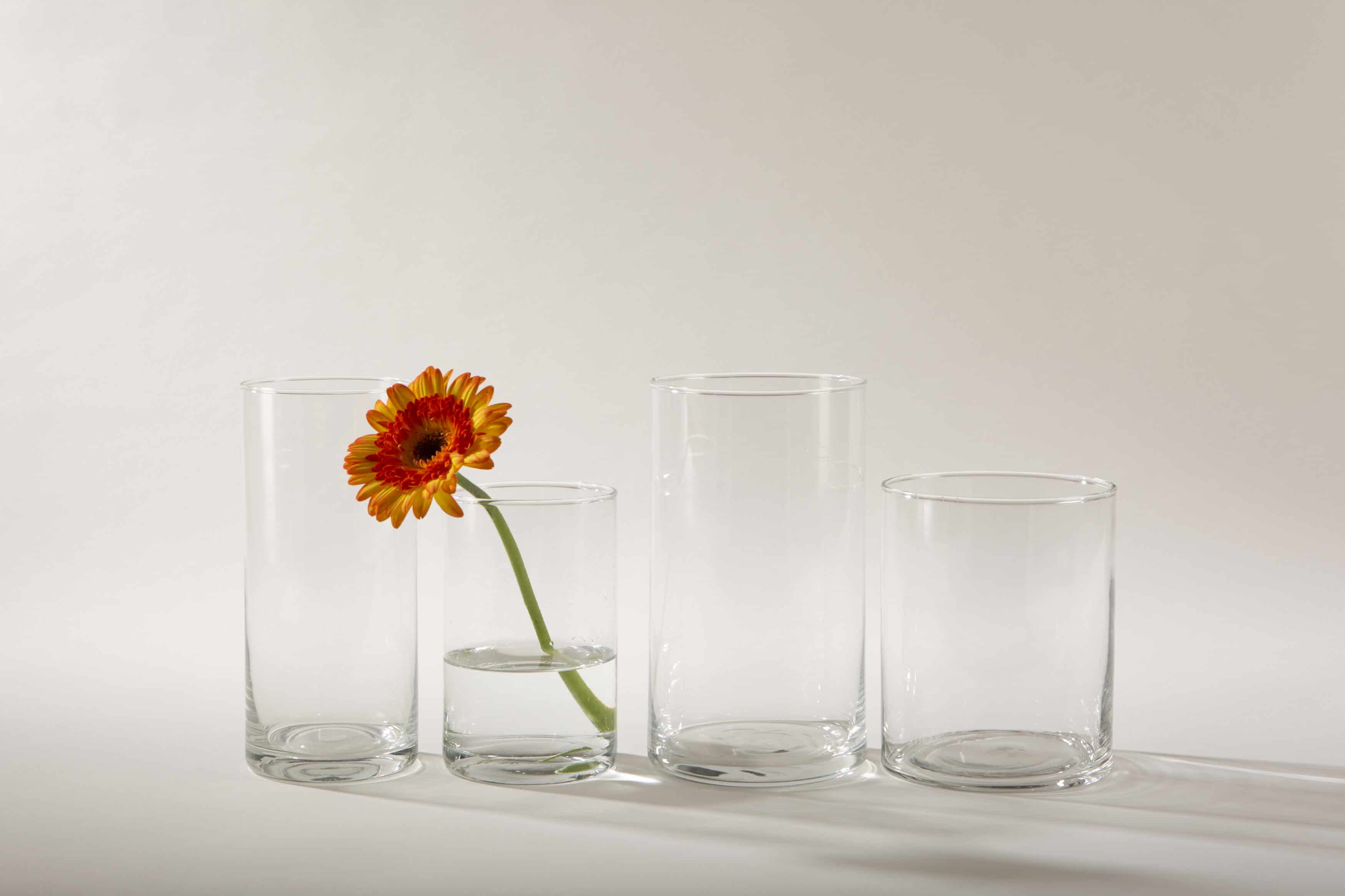  | Glass vase Bacoya is quite simply and elegant. This simple glass cylinder sets bouquets of flowers well in scene and does not steal the show off the colourful flowers. Whether summer garden party or elegant winter wedding glass vase Bacoya fits to many events and colors.You can rent the glass cylinder, with a diameter of 12 cm and a height of 15 cm, with a candle as well as a lantern for your exterior event.Combined with the different sized cylindrical of the glass vase Bacoya series, you... | 