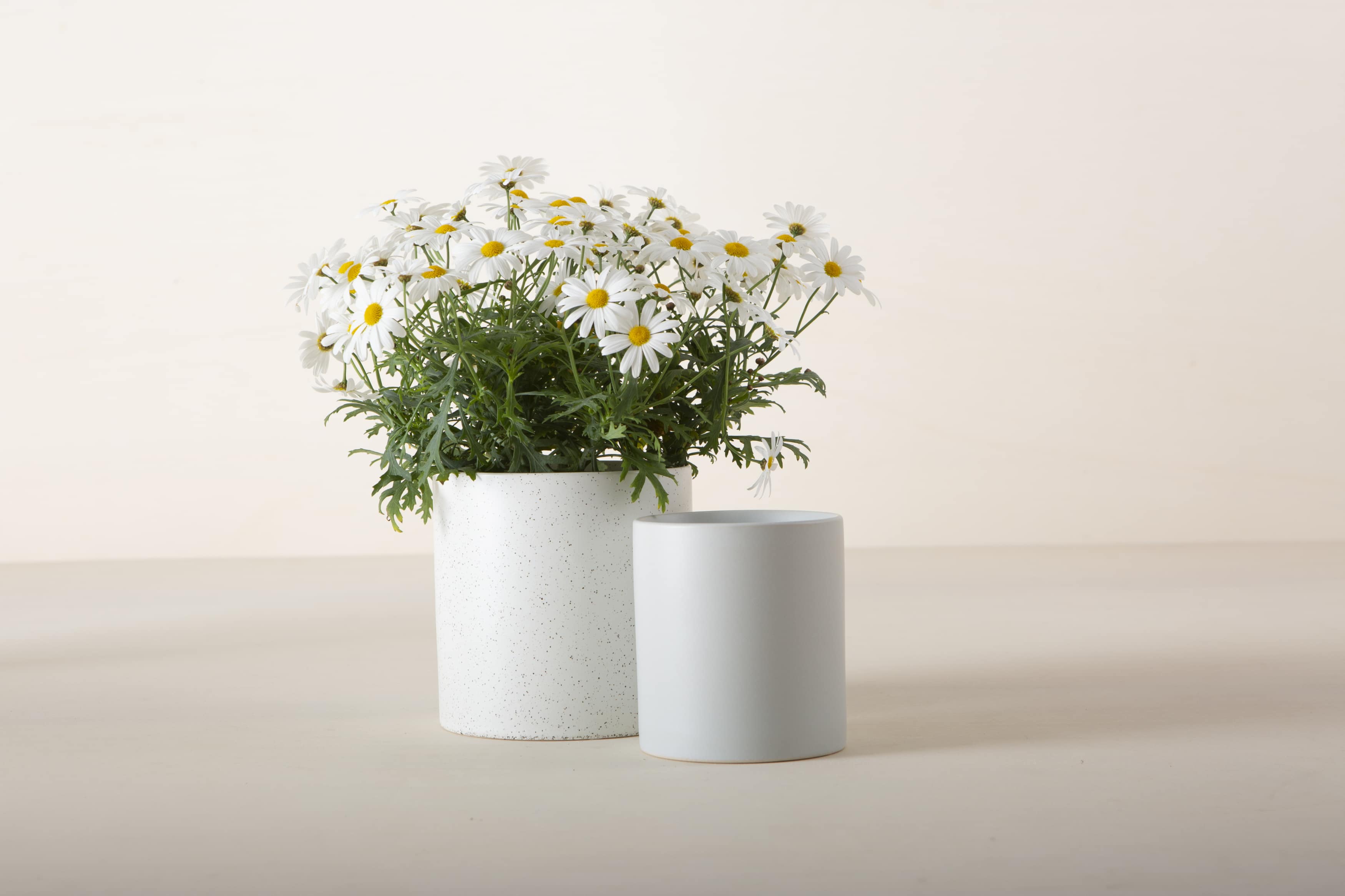 Dieser minimalistische Blumentopf oder -vase zeichnet sich durch klare Linien und ein niedliches Pünktchen-Muster aus.