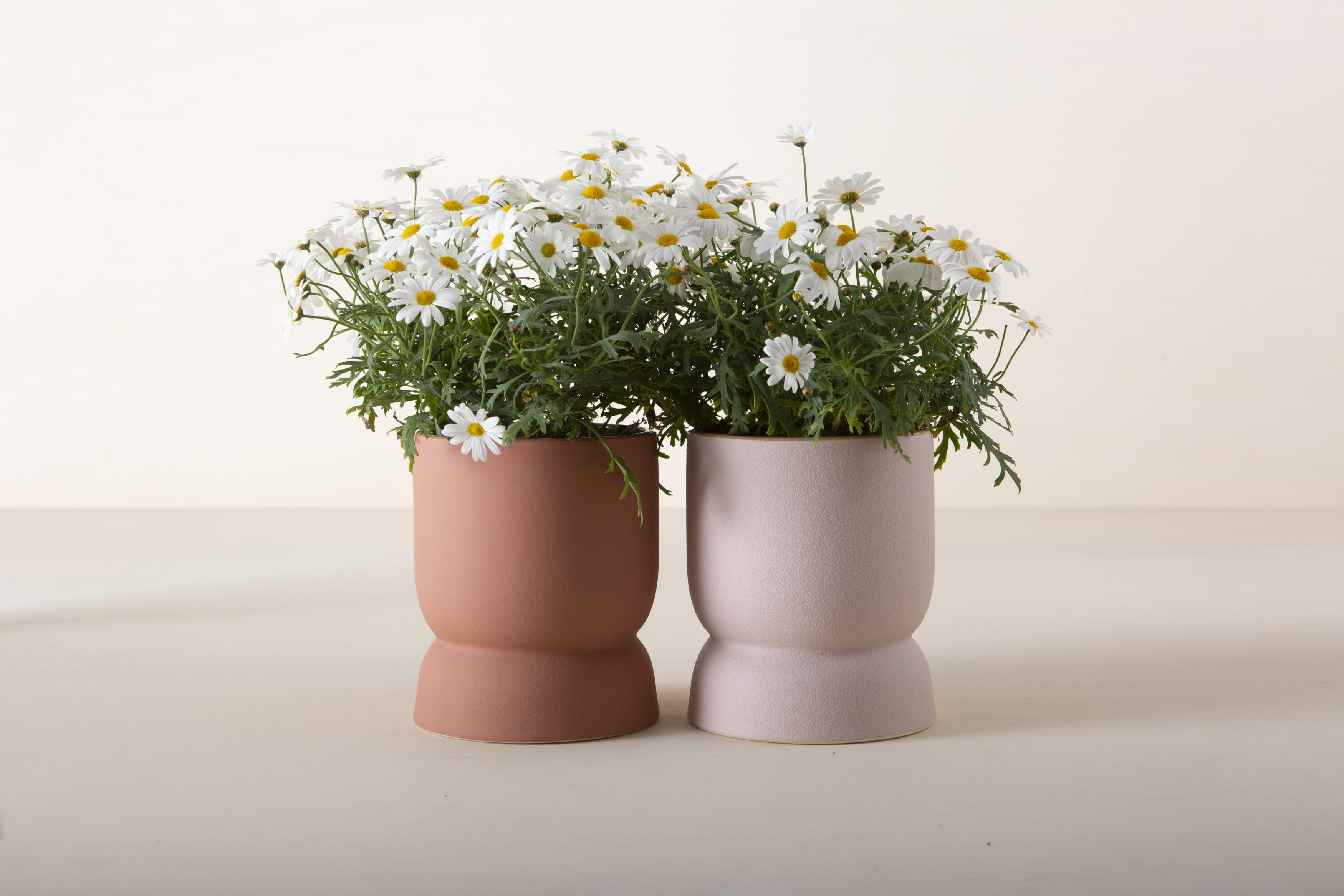Dieser minimalistische Blumentopf oder -vase zeichnet sich durch klare Linien und ein niedliches Pünktchen-Muster aus